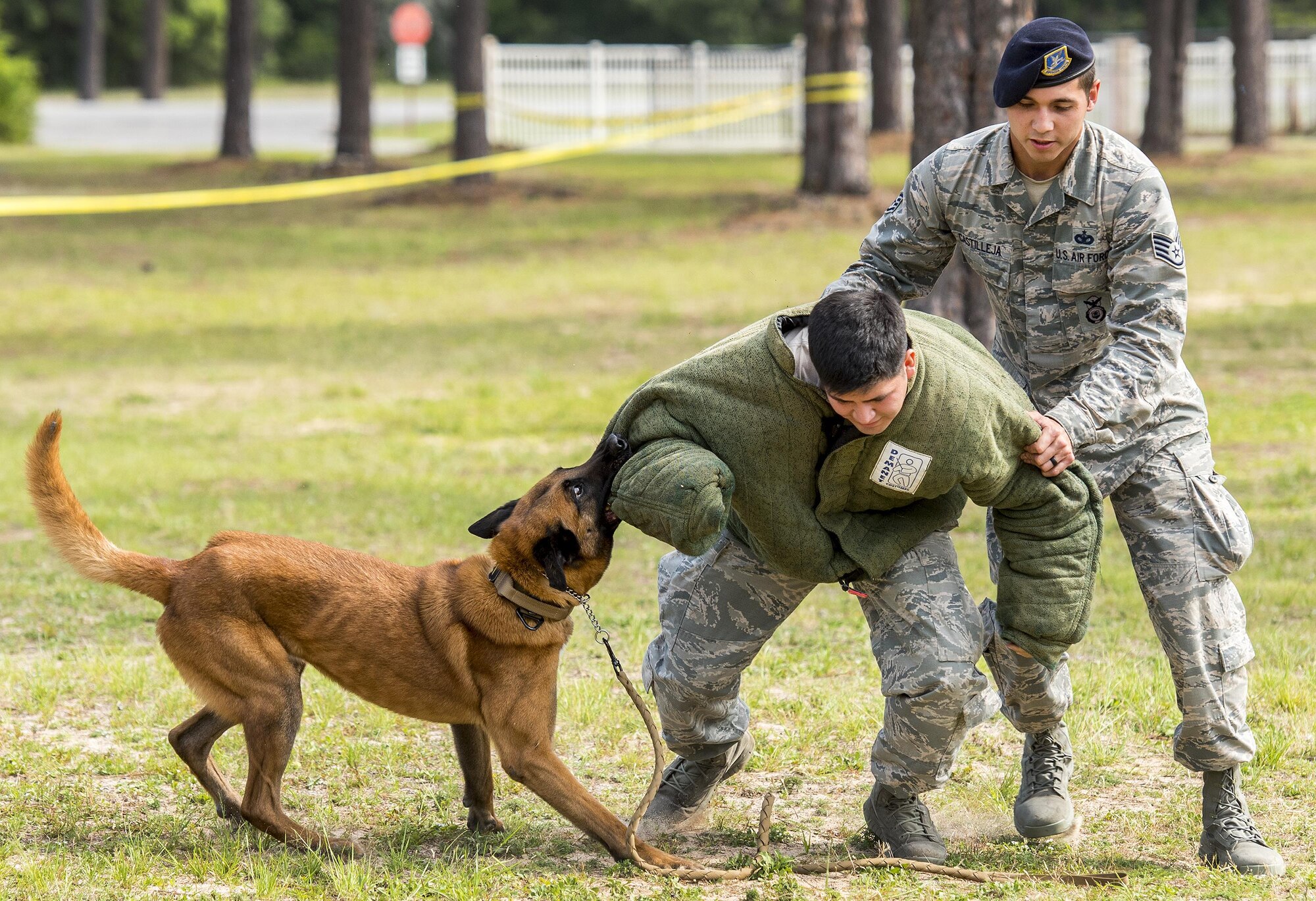 Military Working Dog Arko helps his handler, Staff Sgt. Michael Castilleja, 96th Security Forces Squadron, put the “bad guy” on the ground during a demonstration for Eglin Elementary School kids May 18 at Eglin Air Force Base, Fla. The event was in celebration of National Police Week. More than 100 children watched the demonstration. (U.S. Air Force photo/Samuel King Jr.)