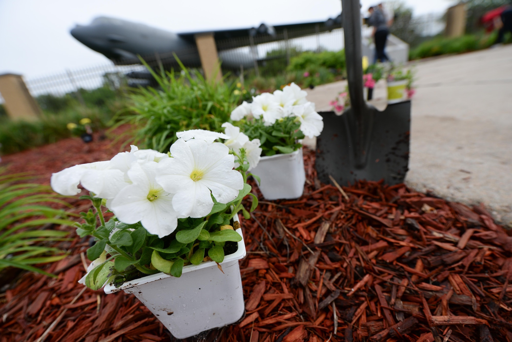 Members of the 55th Security Forces Association plant flowers and lay mulch outside the Kenney Gate at Offutt Air Force Base, Nebraska, May 10, 2017 during a beautification project. Airmen planted flowers, plants, grass seeds and spread mulch to make Offutt AFB look presentable. (U.S. Air Force photo by Zachary Hada)