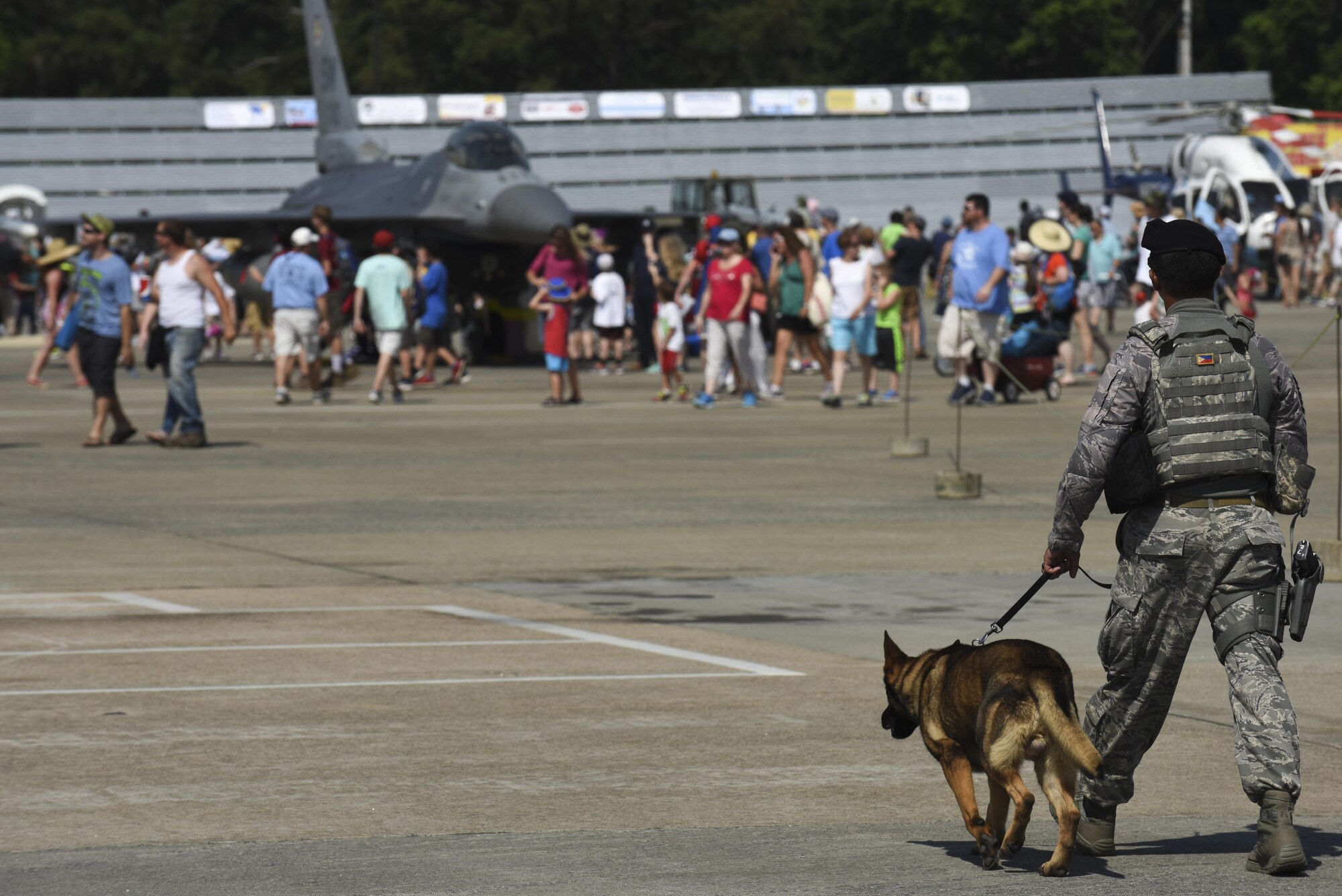 A 4th Security Forces military working dog team patrol the grounds of the Wings Over Wayne Air Show, May 20, 2017, at Seymour Johnson Air Force Base, North Carolina. The MWDs also performed several demonstrations throughout the day to showcase their elite capabilities. (U.S. Air Force photo by Staff Sgt. Brittain Crolley)