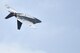 Maj. Daniel Dickinson, F-22 Raptor pilot, performs an F-22 demonstration during the Wings Over Wayne Air Show, May 21, 2017, at Seymour Johnson Air Force Base, North Carolina. The fifth-generation fighter supports both air-to-air and air-to-ground missions vital to the 21st century Air Force. (U.S. Air Force photo by Airman 1st Class Christopher Maldonado)
