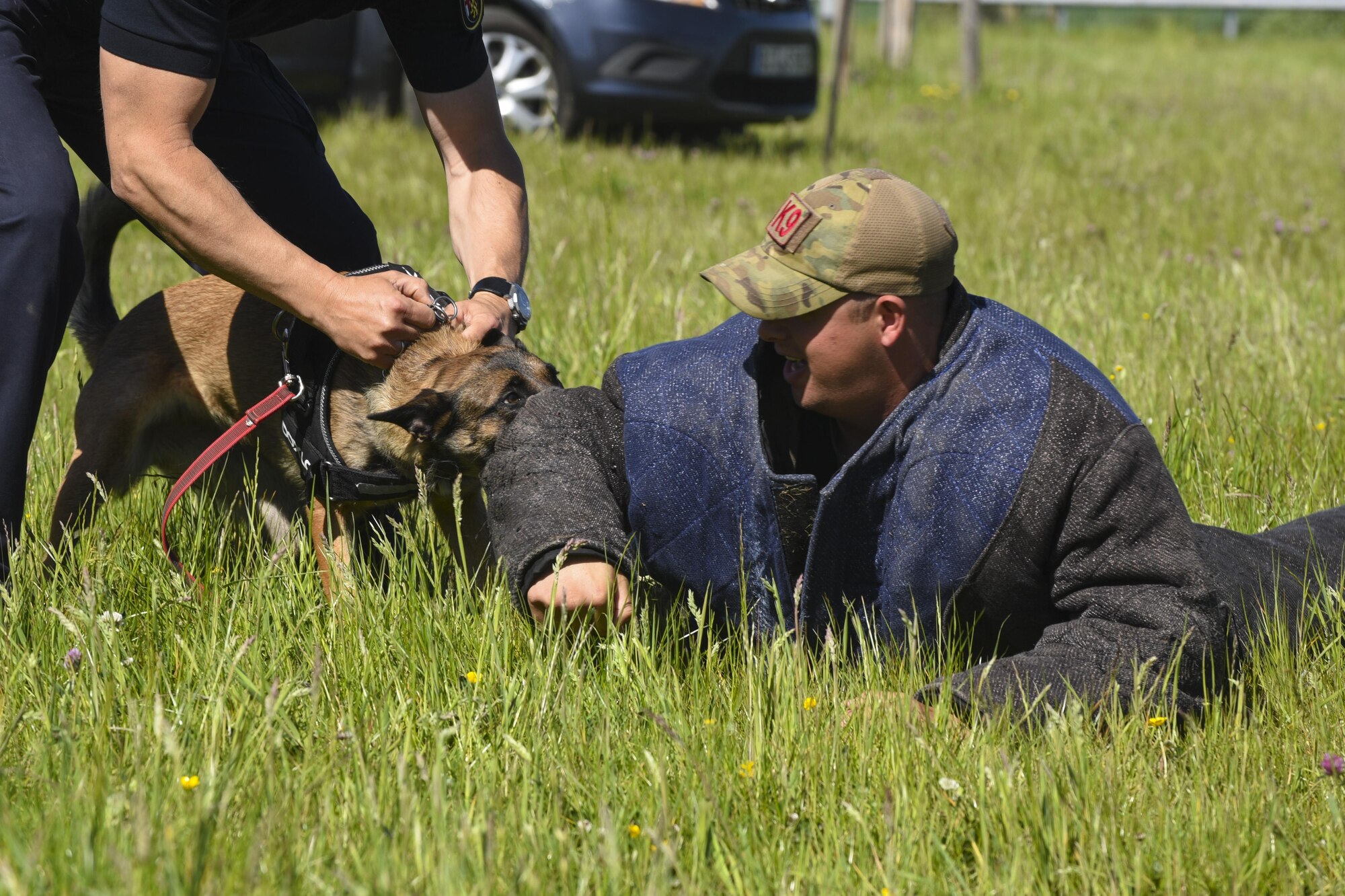 U.S. Staff Sgt. Tyler Catey, 52nd Security Forces Squadron military working dog trainer, is taken down by a Luxembourg Police working dog during a National Police Week law enforcement display at Spangdahlem Air Base, Germany, May 16, 2017. This year the 52nd SFS began the week with Battle of the Badges, a physical event to challenge SFS member’s agility and stamina, followed by additional events throughout May 15-19. These included a law enforcement display, a golf tournament, Jail-and-bail, a 5K base run and reading to children at the library. (U.S. Air Force photo by Senior Airman Dawn M. Weber)