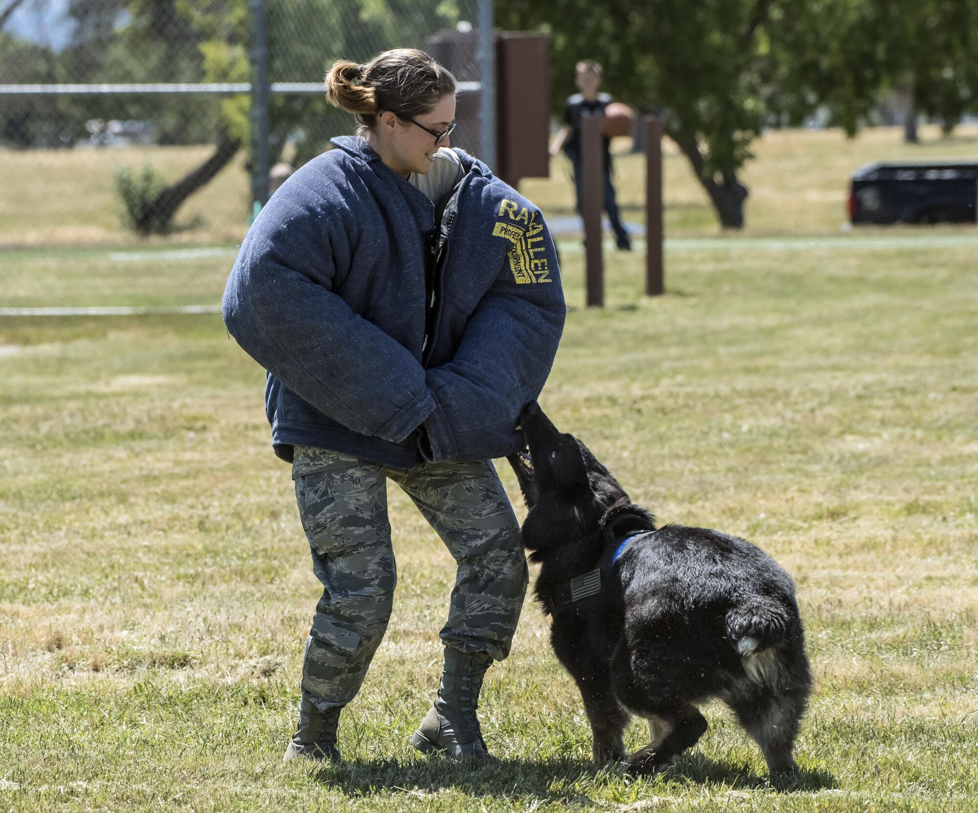 Bessy, a 60th Security Forces Squadron military working dog, stops the “bad guy” or in this case the "bad girl", in her tracks as part of a demonstration during the National Police Week Picnic May 17, 2017 at Travis Air Force Base, Calif. Established by a joint resolution of Congress in 1962, National Police Week pays special recognition to law enforcement officers who have lost their lives in the line of duty for the safety and protection of others. Police Week gives the 60th SFS an opportunity to inform, educate and strengthen Travis community relations. (U.S. Air Force photo/ Heide Couch)