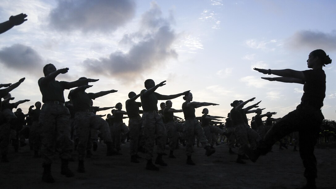Marine Corps recruits warm up before maneuvering an obstacle course on Marine Corps Recruit Depot, Parris Island, S.C., May, 20, 2017. The recruits are assigned to November Company, 4th Battalion and Hotel Company, 2nd Battalion, The obstacle course tested their strength, agility and endurance. Marine Corps photo by Lance Cpl. Colby Cooper