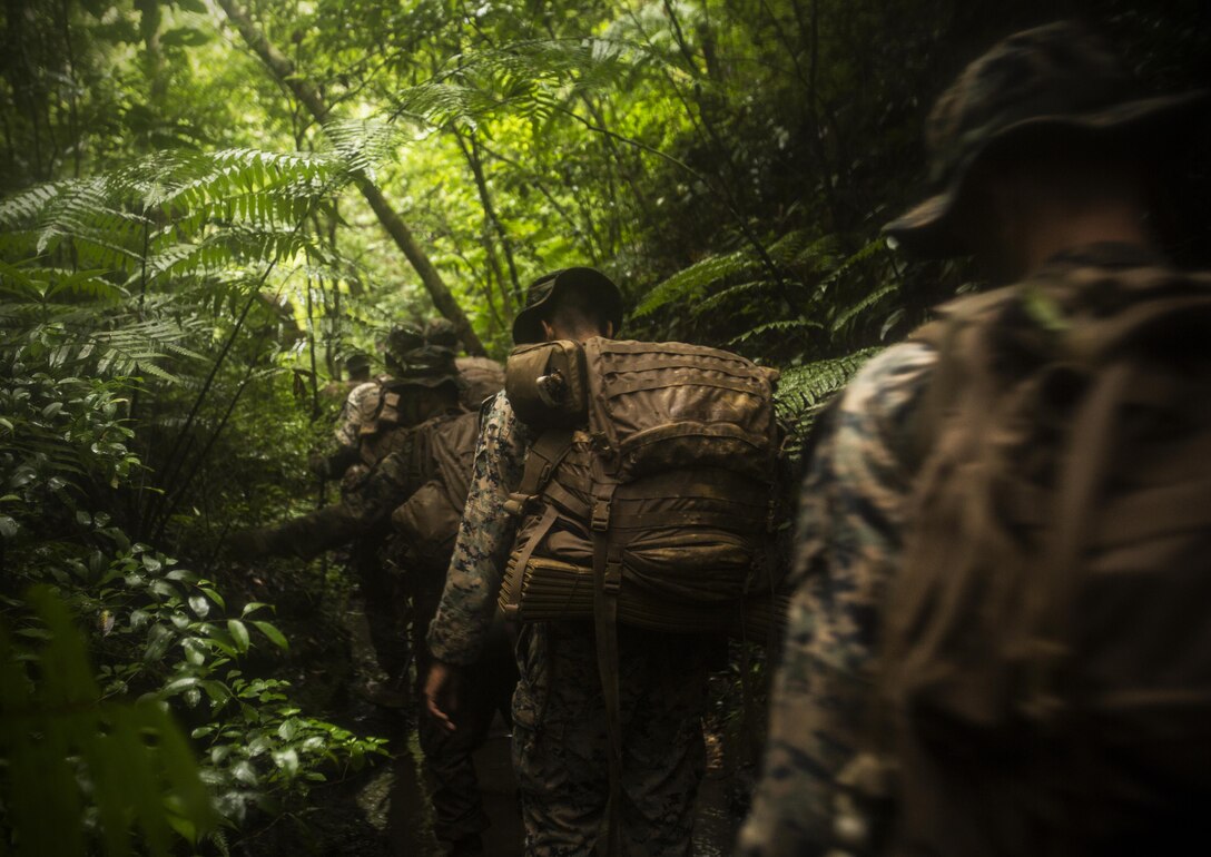Marines hike through the woods at Jungle Warfare Training Center, Camp Gonsalves, Okinawa, Japan, May 17, 2017. The unit patrolled through the woods, conducted medical evacuations and assaulted enemy villages during their 12-day training iteration. This prepares them for their upcoming deployment to Thailand and the Philippines in support of the Cooperation Afloat Readiness and Training multilateral exercise. The Marines are with Company K, 3rd Battalion, 8th Marine Regiment and are assigned to 3rd Marine Division, III Marine Expeditionary Force, through the unit deployment program. (U.S. Marine Corps photo by Lance Cpl. Joshua Pinkney)