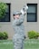 Airman 1st Class Mellissa Adams, 436th Logistics Readiness Squadron fuels distribution operator, plays Taps during a retreat ceremony May 19, 2016 at Dover Air Force Base, Del. Adams is currently attached to the base honor guard. (U.S. Air Force photo by Mauricio Campino)