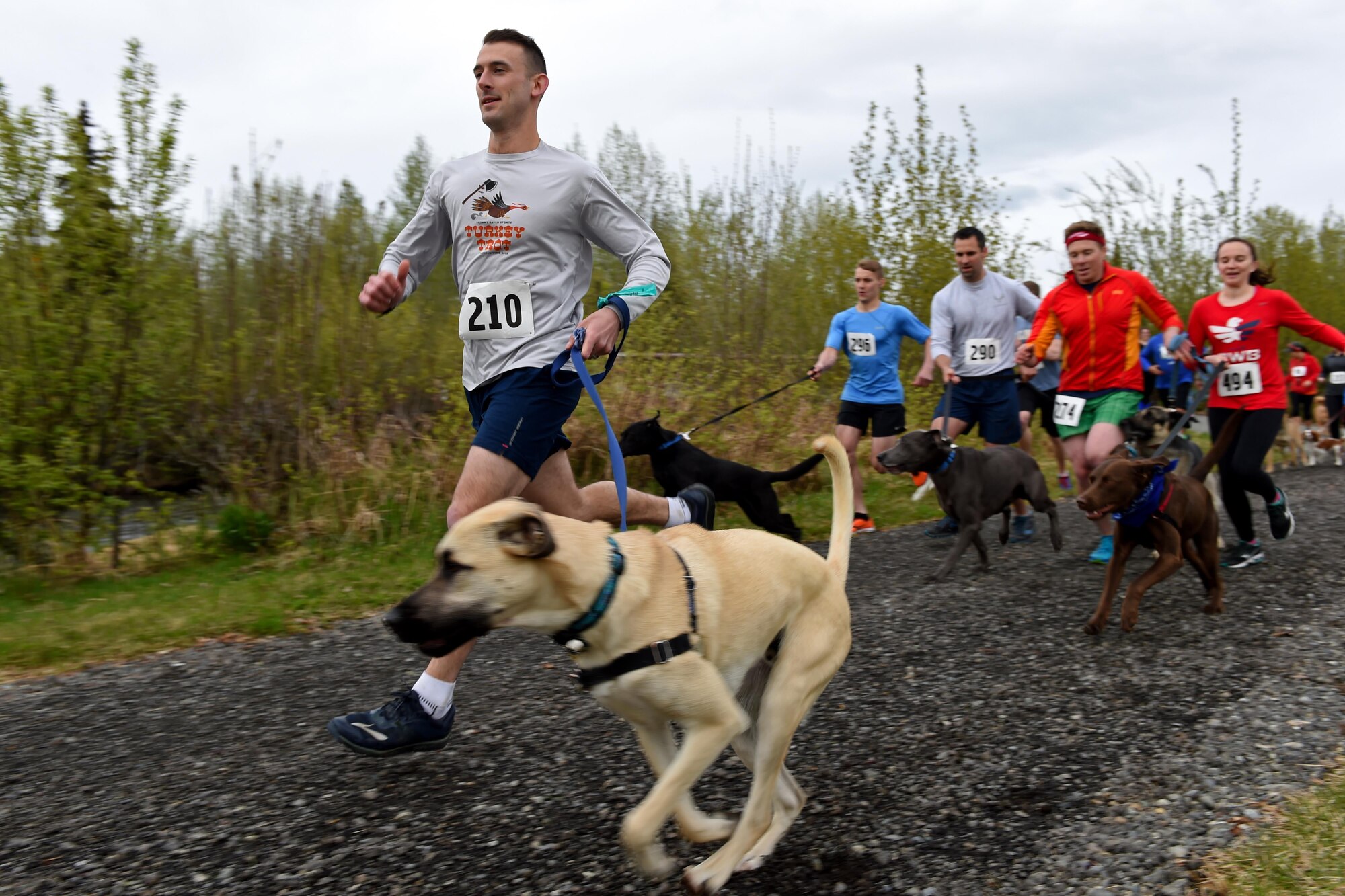 Joint Base Elmendorf-Richardson athletes and their canine companions takeoff from the starting line at the Pet Fun Run 5K at Eagleglen Fitness Park May 19, 2017. More than 40 competitors raced with their pets at the fun run. First, second and third place finishers received prizes, though all pets were given goodie bags. 