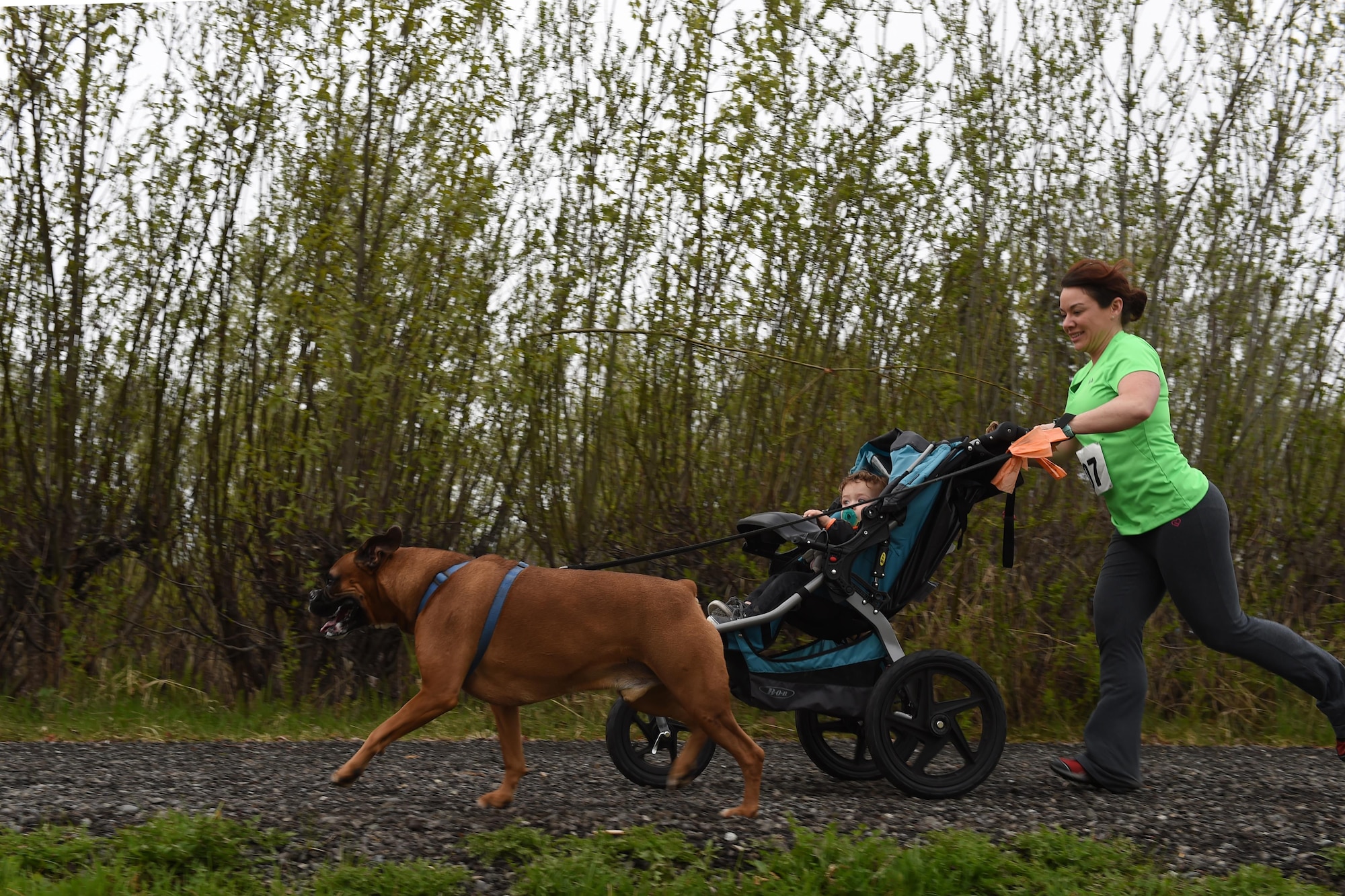 Max the dog leads the way as Danielle Gagne-Thibodeau and son Jaxon follow at the Pet Fun Run 5K at Eagleglen Fitness Park, at Joint Base Elmendorf-Richardson, Alaska, May 19, 2017. More than 40 athletes raced with their canine companions at the fun run. First, second and third place finishers received prizes, though all pets were given goodie bags.