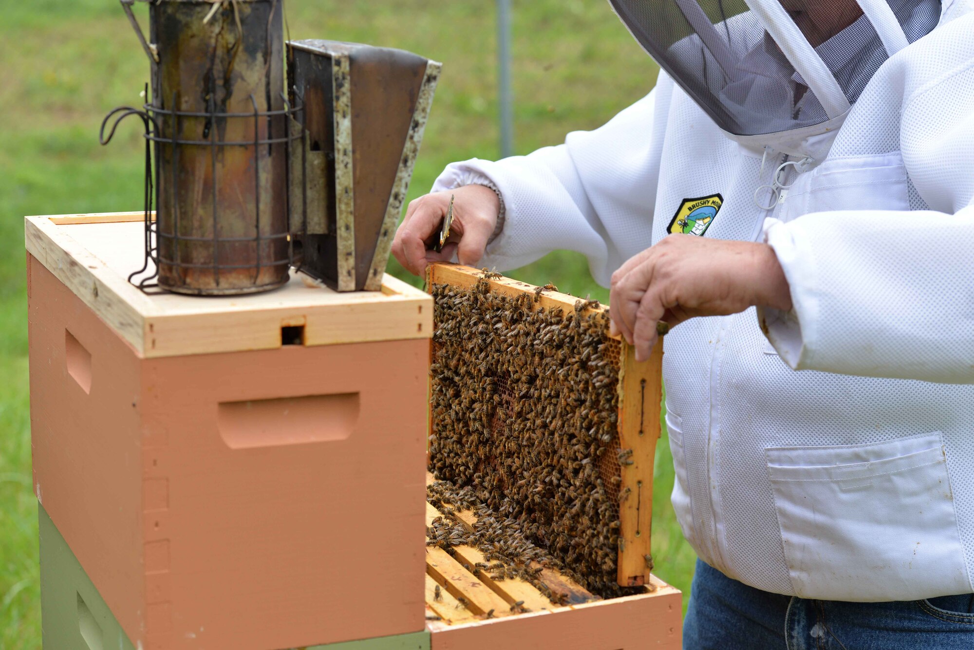 Dwight Wells, a sustainable beekeeper with the Propolis Project, LLC monitors a bee colony for evidence of naturally occurring Varroa mite resistance within the genetic gene pool of the bees at Wright-Patterson AFB. If an infected bee bitten by a Varroa mite exposes a colony to the virus, it will become fatal to the entire colony. (U.S. Air Force/Michelle Gigante)