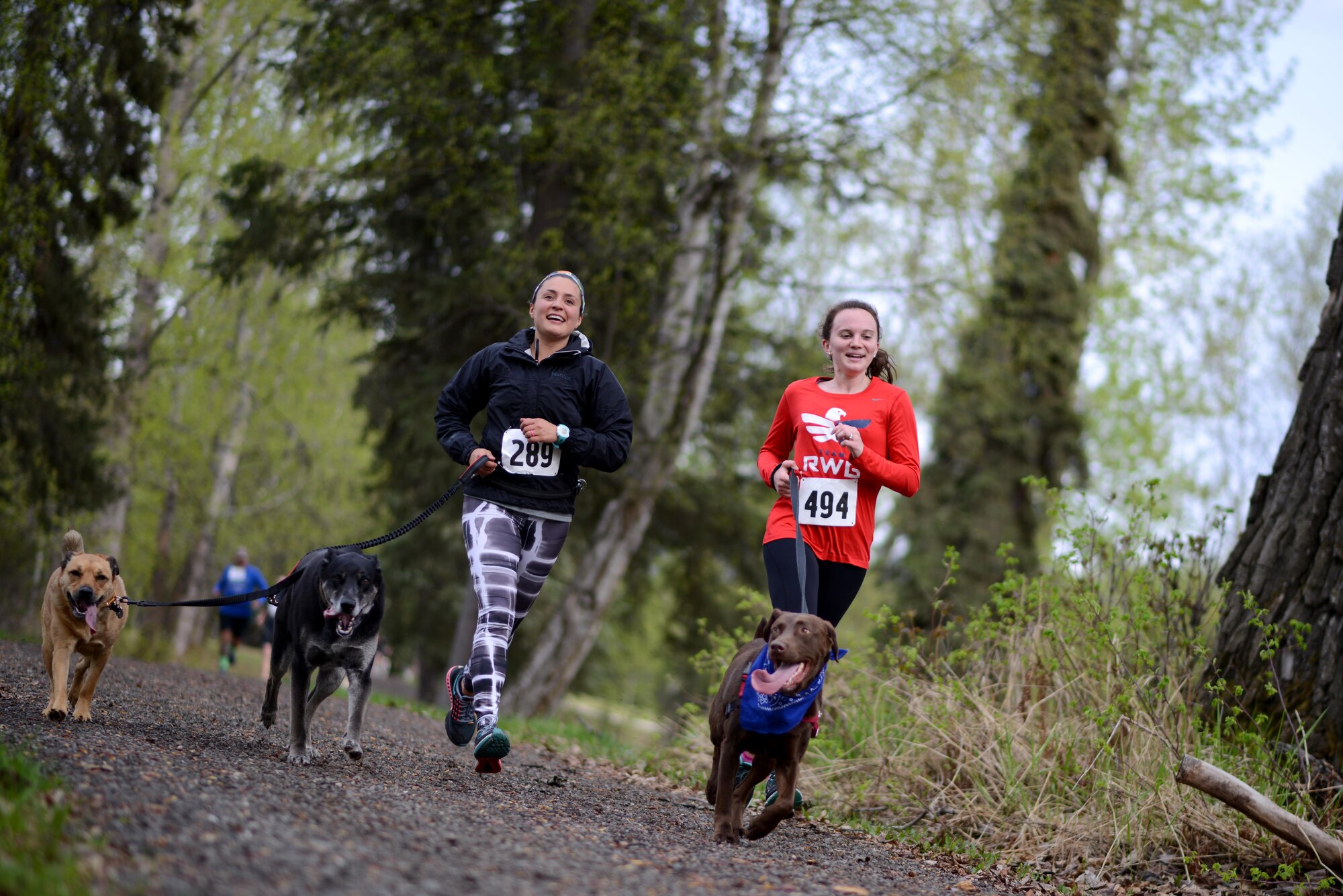 Pet Fun Run 5K competitors race down the race trail at Eagleglen Fitness Park May 19, 2017. More than 40 athletes raced with their canine companions at the fun run. First, second and third place finishers received prizes, though all pets were given goodie bags.