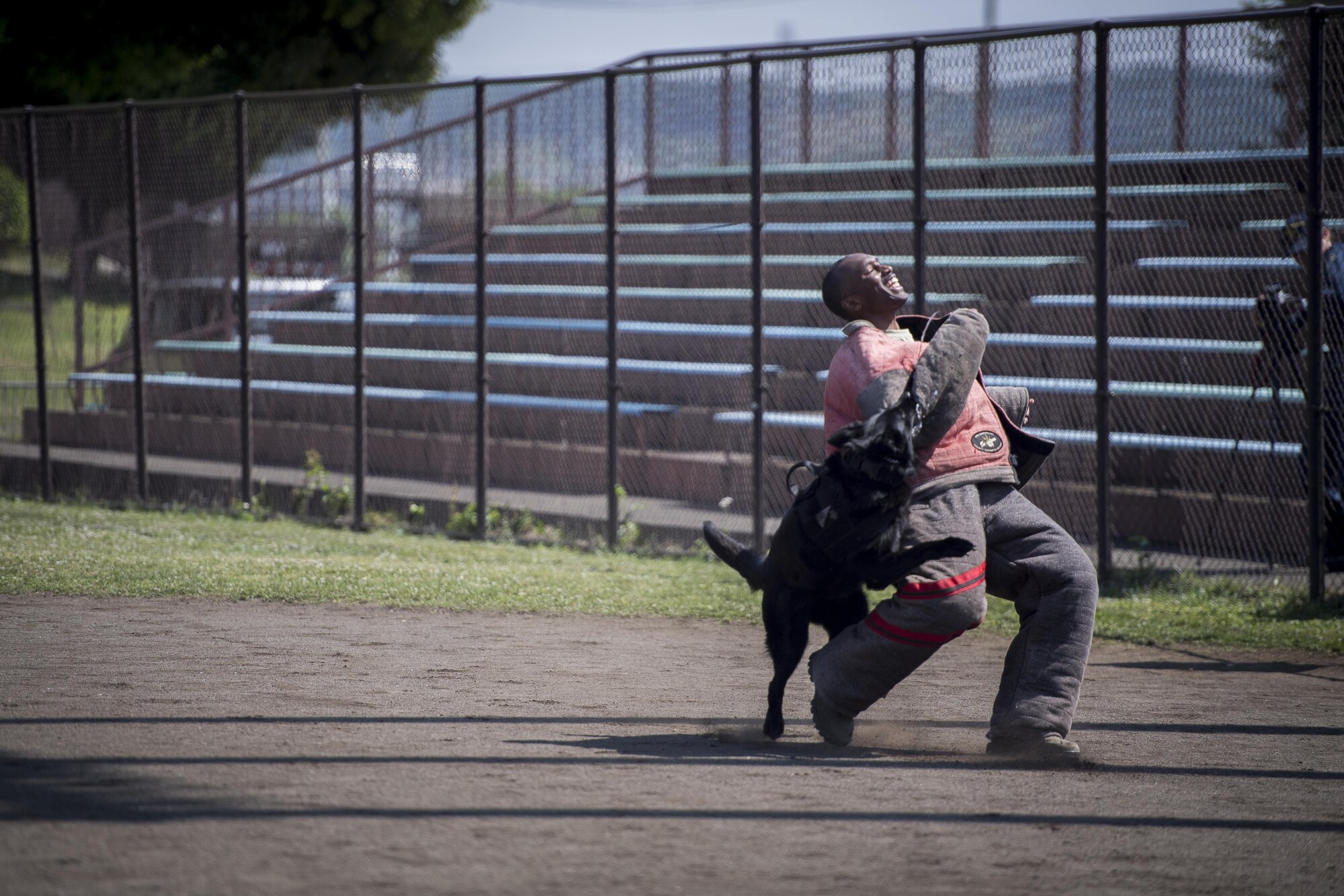 A 374th Security Forces Squadron K-9 unit takes down a handler acting as a decoy suspect during a Police Week K-9 Unit tactical obstacle course competition, May 19, 2017, at Yokota Air Base, Japan. The K-9 Unit tactical obstacle course consisted of barriers, simulated wounded, low-crawl, decoy suspect takedown and clearing a vehicle of suspects. (U.S. Air Force photo by Airman 1st Class Donald Hudson)