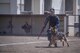 A Tokyo Metropolitan Police Department K-9 unit advance on a decoy suspect during a Police Week K-9 Unit tactical obstacle course competition, May 19, 2017, at Yokota Air Base, Japan. The competition included members of the Tokyo Metropolitan Police Department, 374th Security Forces Squadron and U.S. Army competitors. (U.S. Air Force photo by Airman 1st Class Donald Hudson)