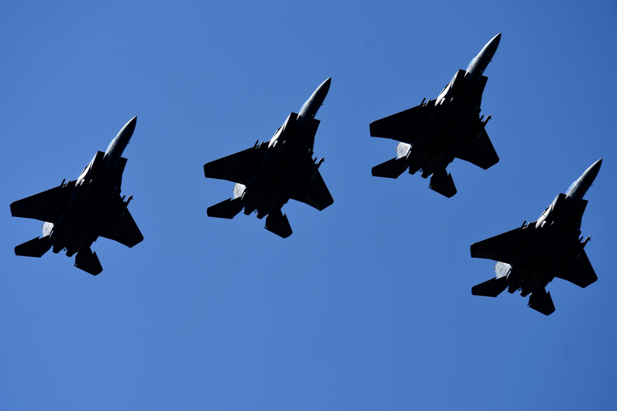 An F-15E Strike Eagle four-ship formation flies over the crowd during the Wings Over Wayne Air Show, May 20, 2017, at Seymour Johnson Air Force Base, N.C. Later this year, the 4th Fighter Wing will celebrate its 75th anniversary with a week of heritage events and ceremonies. (U.S. Air Force photo/Airman 1st Class Miranda A. Loera)