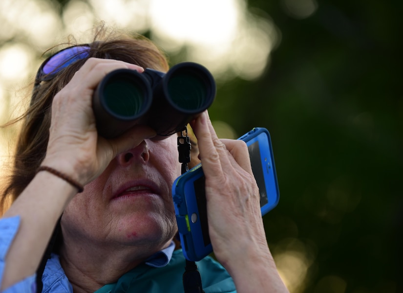 Karen Terwilliger, a local environmental expert, searches for Diamondback Terrapin Turtles making their way to shorelines at Joint Base Langley-Eustis, Va., May 10, 2017. Environmental experts like Terwilliger are contracted to help the installation’s environmental team add perseveration efforts to base infrastructure and shoreline plans. (U.S. Air Force photo by Staff Sgt. Natasha Stannard)