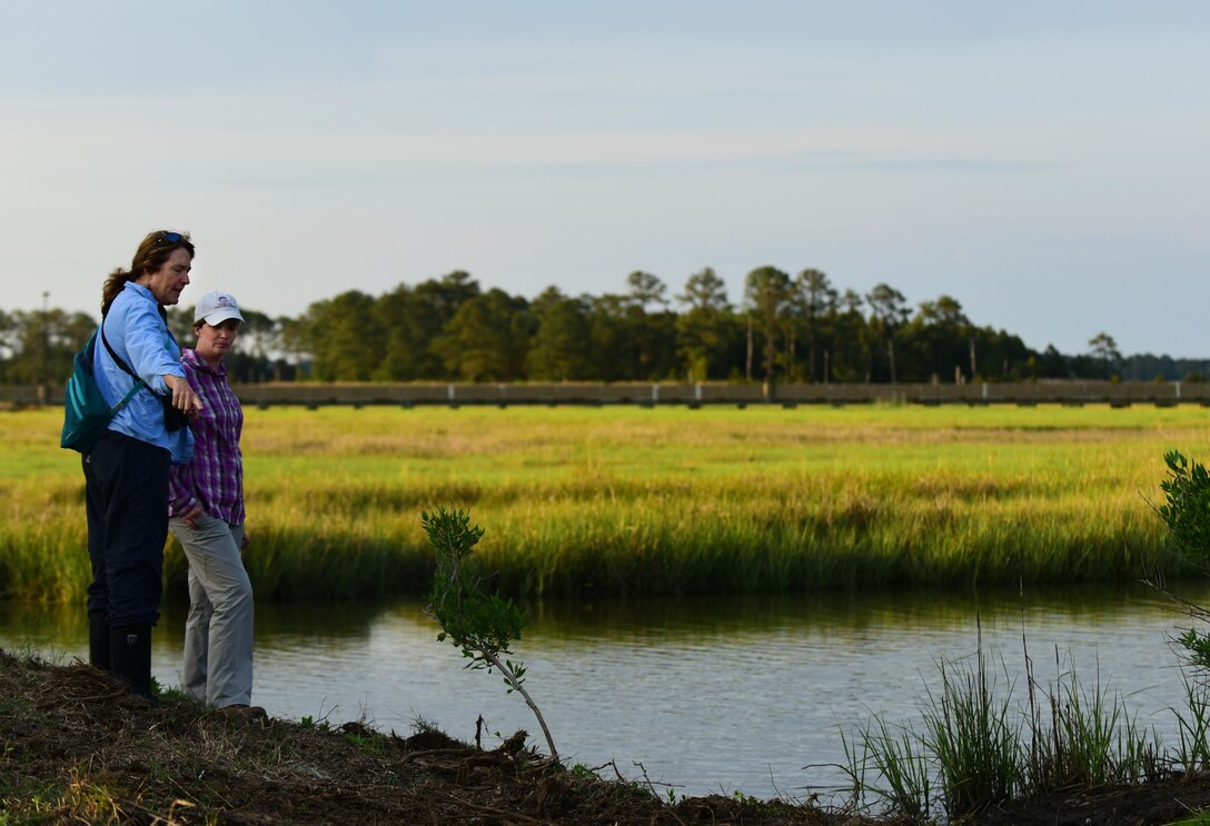 Karen Terwilliger, a local environmental expert, points out an ideal Diamondback Terrapin Turtle nesting are to Alicia Garcia, Colorado State University natural resource program manager for Langley AFB, at Joint Base Langley-Eustis, Va., May 10, 2017. JBLE environmental teams work with local wildlife experts to not only cover more ground in searching for threatened or endangered species, but to determine preservation practices that won’t inhibit military missions. (U.S. Air Force photo by Staff Sgt. Natasha Stannard)