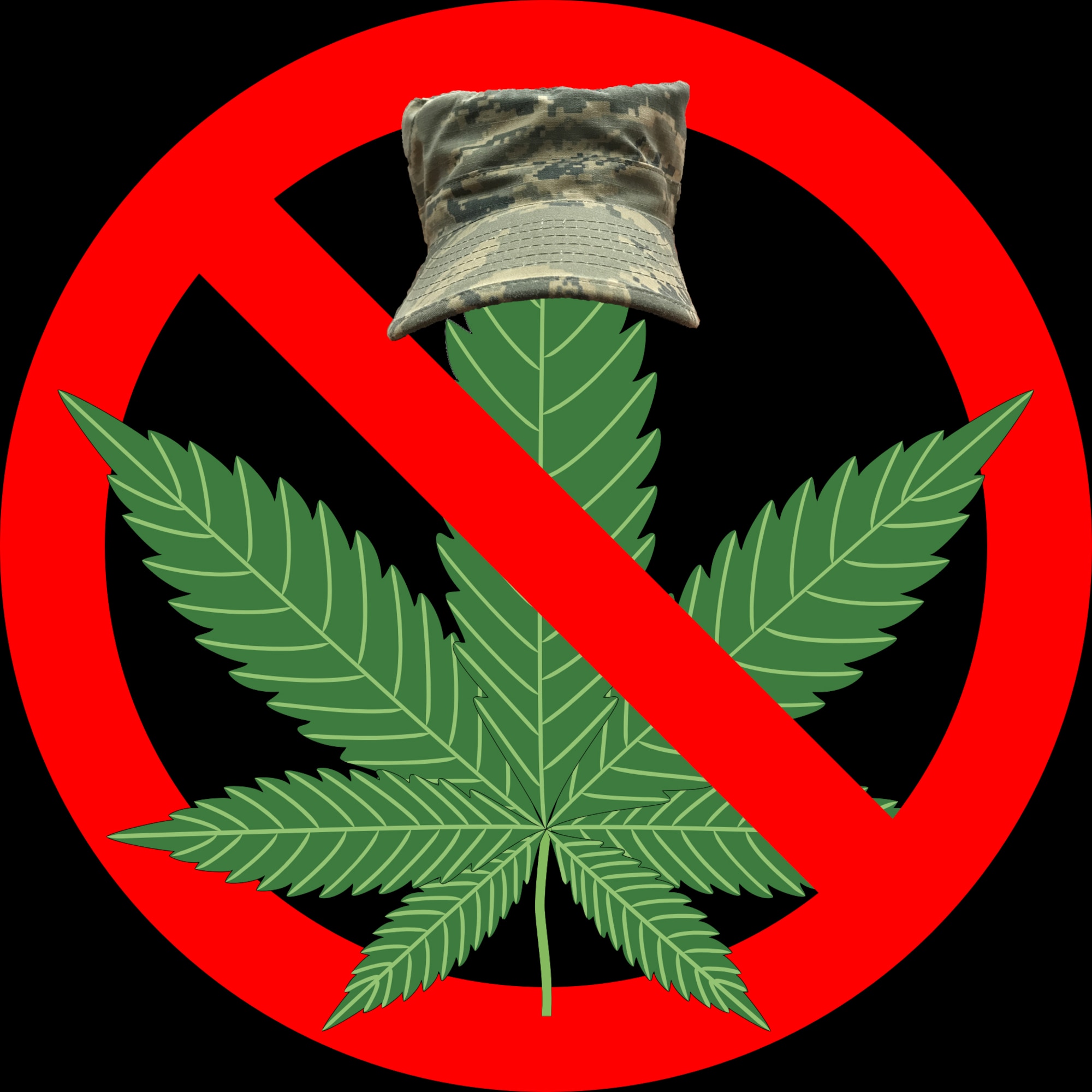 Florida voters approved an amendment to legalize the use of marijuana for medicinal purposes, Nov. 8, 2016. Service members are subject to the Uniform Code of Military Justice and Title 10 of the United States Code, which consider marijuana use or possession to be a crime regardless of state laws. (U.S. Air Force graphic by Staff Sgt. Jeff Parkinson)
