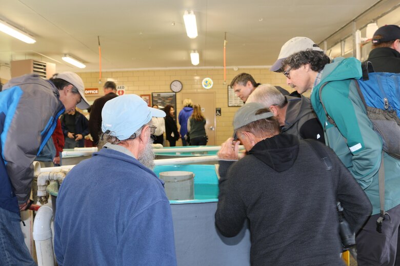 Members and support staff of the Missouri River Recovery Implementation Committee view young pallid sturgeon at the Gavins Point National Fish Hatchery.