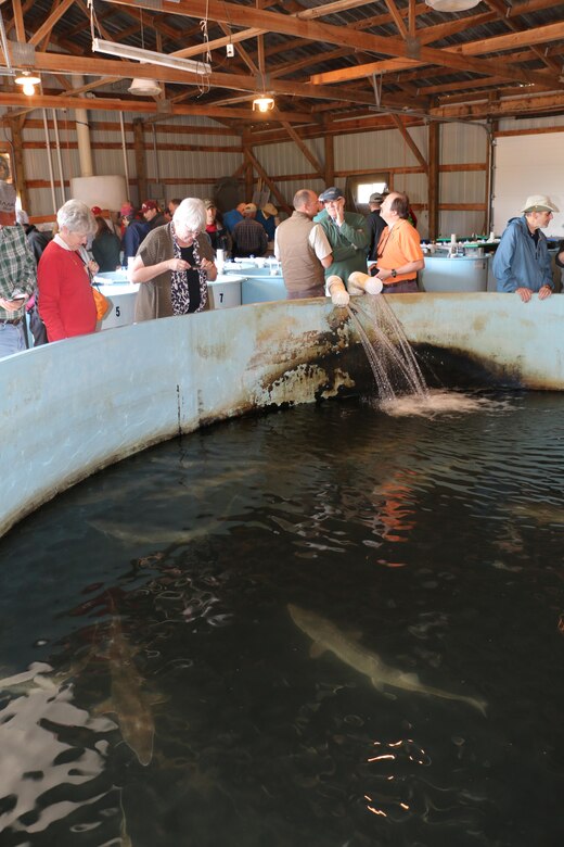 Members of the Missouri River Recovery Implementation Committee watch pallid sturgeon swimming in a tank at the Gavins Point National Fish Hatchery.