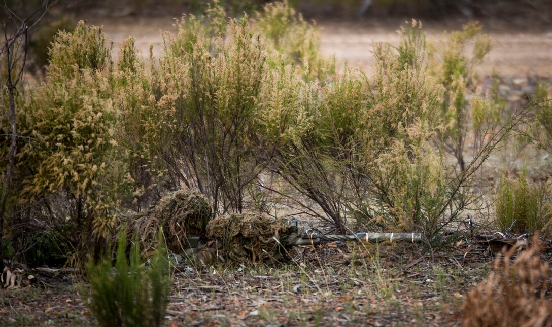 Canadian Army Cpl. Mike Pollon prepares to shoot a target, May 16, 2017, as part of a sniper competition at the Australian Army Skills at Arms Meeting, in Puckapunyal, Australia. The competition brings together 20 countries to compete, learn from each other, and build stronger bonds. Pollon is a sniper with Princess Patricia's Canadian Light Infantry. (U.S. Marine Corps photo by Lance Cpl. Bernadette Wildes)