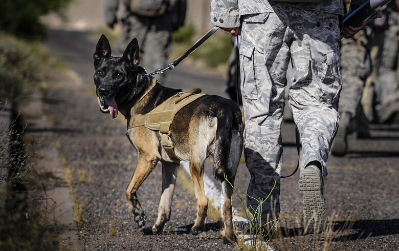 A 99th Security Forces Squadron K-9 handler and his dog participate in a ruck march during National Police Week on Nellis Air Force Base, Nev., May 16, 2017. The annual National Police Week was held from May 15 to 19 to honor fallen law enforcement officers and recognized those who serve today. (U.S. Air Force photo by Senior Airman Kevin Tanenbaum/Released)