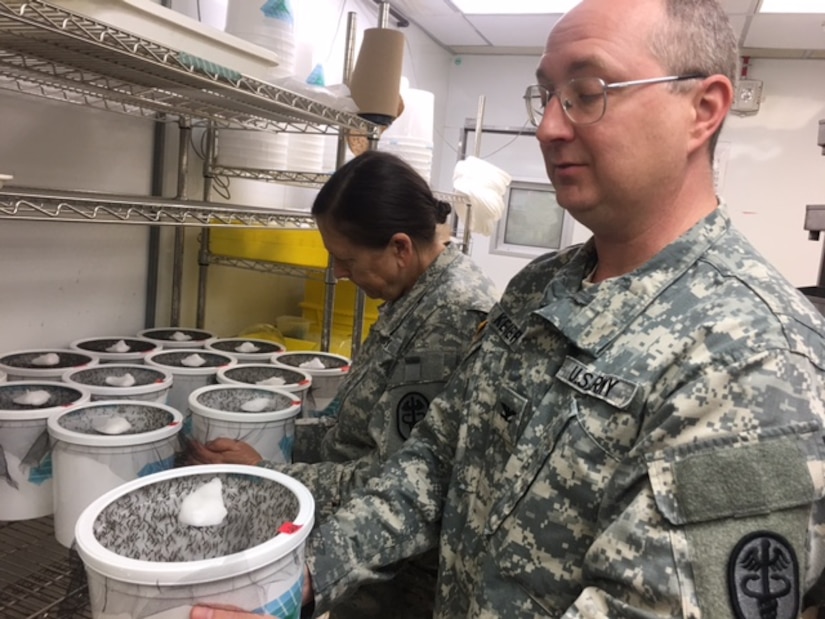 Army Col. Paul Keiser, director of Walter Reed Army Institute of Research’s Viral Diseases branch, holds one of the insectary’s mosquito habitats at WRAIR in Silver Spring, Md., May 31, 2017.Around 250 adult mosquitos live in each bucket. DoD photo by Rick Docksai