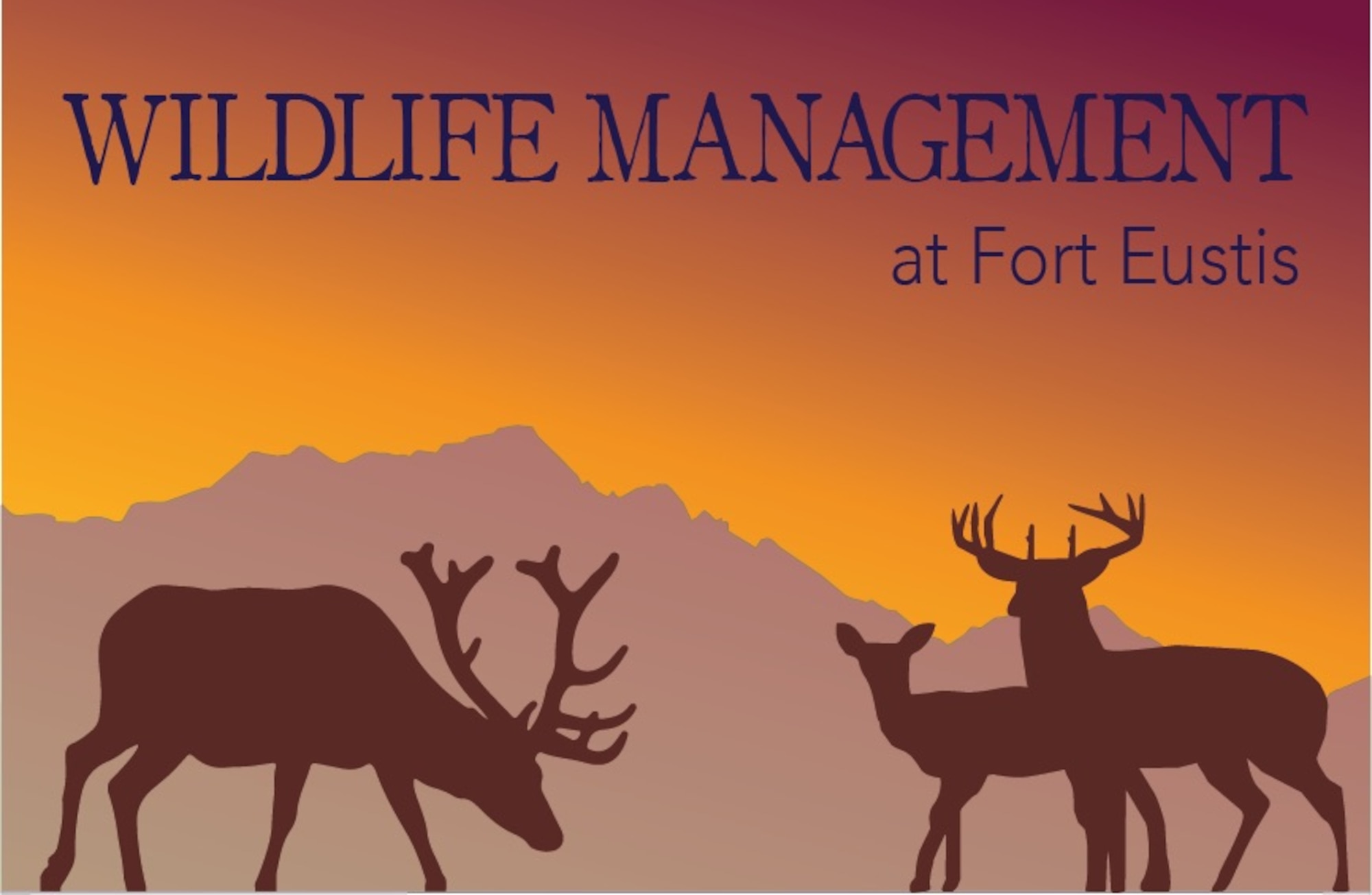 The 733rd Civil Engineer Division environmental element at Joint Base Langley-Eustis, Va., ensures mission success by managing natural resources to provide adequate land on which U.S. Army Soldier’s train. The deer population is an example of wildlife managed on JBLE. Overpopulation risks depletion of the understory of the forest, which could impact Soldiers land navigation training or other mission-related activities. (U.S. Air Force graphic/Airman 1st Class Kaylee Dubois)