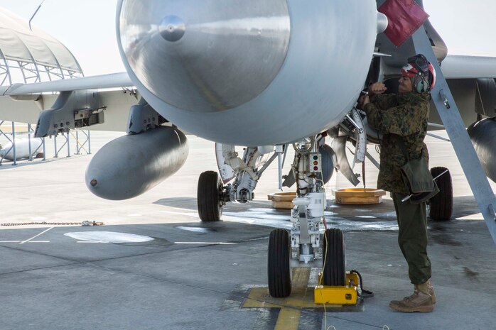 Maintainers’ ground work keep Bats flying