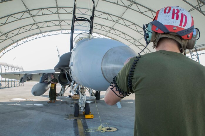 Maintainers’ ground work keep Bats flying