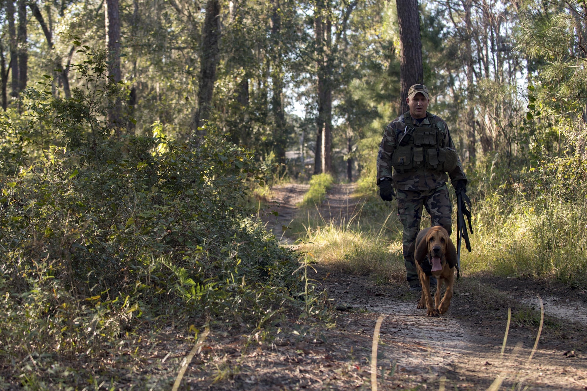 Anthony Catlett, officer from Lowndes County Sheriff’s Office, and K9 Lucius, search for Airmen during evasion training, Oct. 24, 2017, at Moody Air Force Base, Ga. The new, three-day combined training is designed to merge many smaller courses and seamlessly tie together skills that could be used in the event that Airmen become isolated during a mission. (U.S. Air Force photo by Senior Airman Daniel Snider)