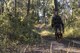 Anthony Catlett, officer from Lowndes County Sheriff’s Office, and K9 Lucius, search for Airmen during evasion training, Oct. 24, 2017, at Moody Air Force Base, Ga. The new, three-day combined training is designed to merge many smaller courses and seamlessly tie together skills that could be used in the event that Airmen become isolated during a mission. (U.S. Air Force photo by Senior Airman Daniel Snider)