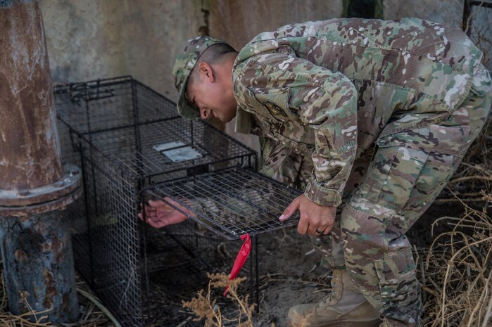 Wild animals can damage perimeter fences by diggin wholes, which can cause security issues.