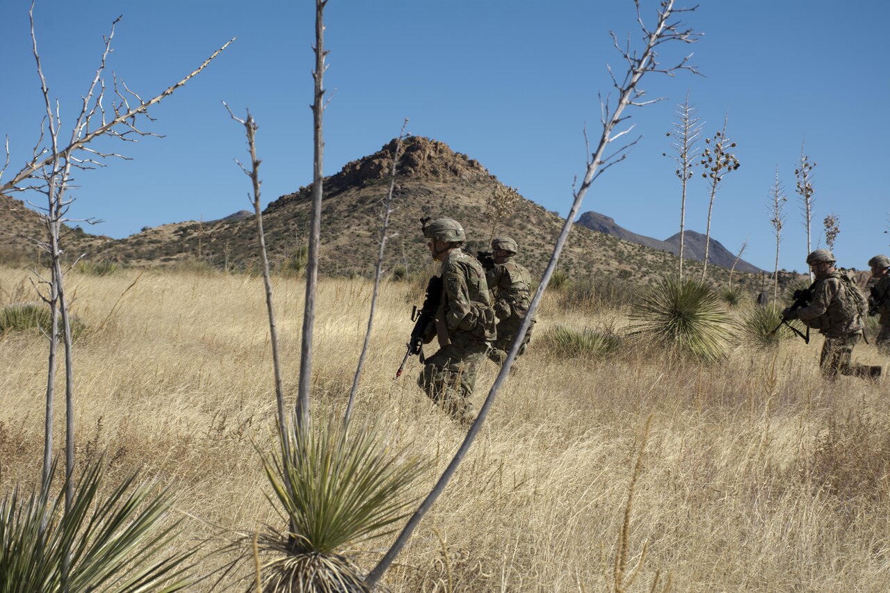 Soldiers on patrol.