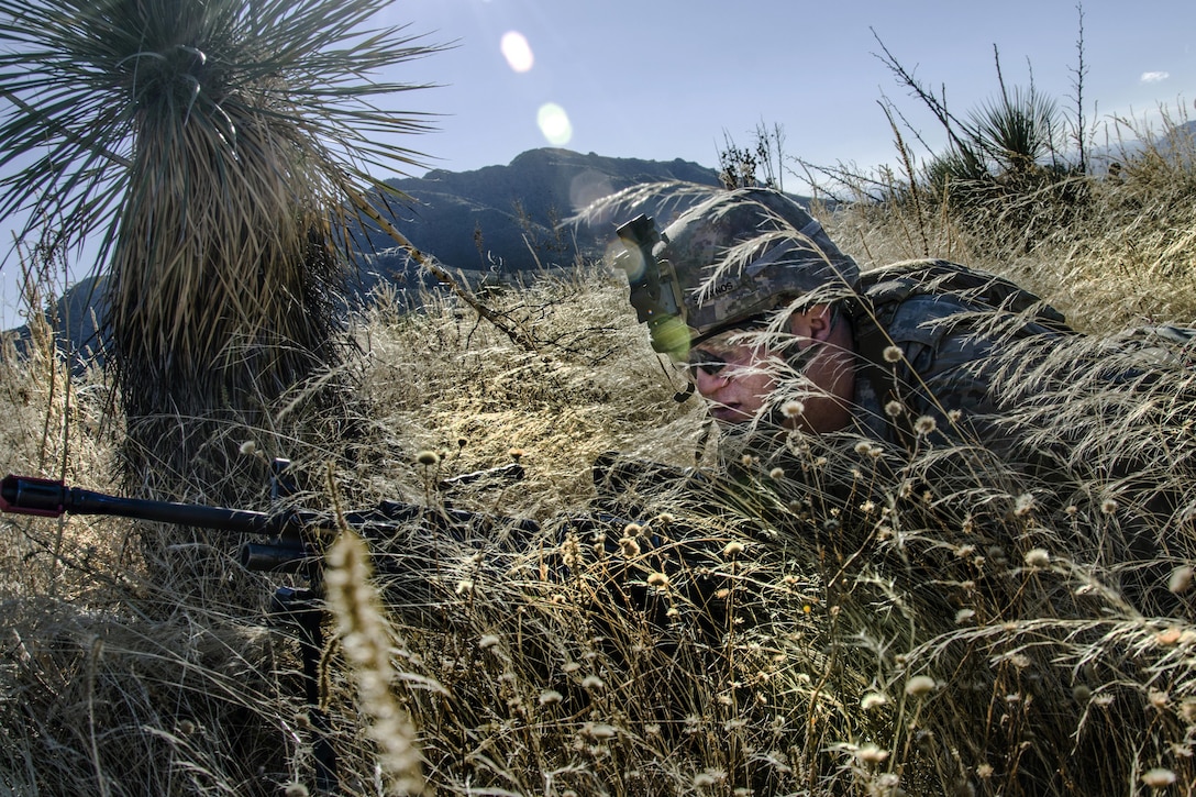A soldier lays in tall grass.