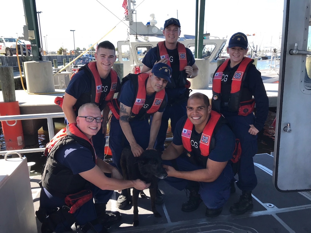 Image of Coast Guard crew rescuing a dog swimming in Lake Pontchartrain, La.