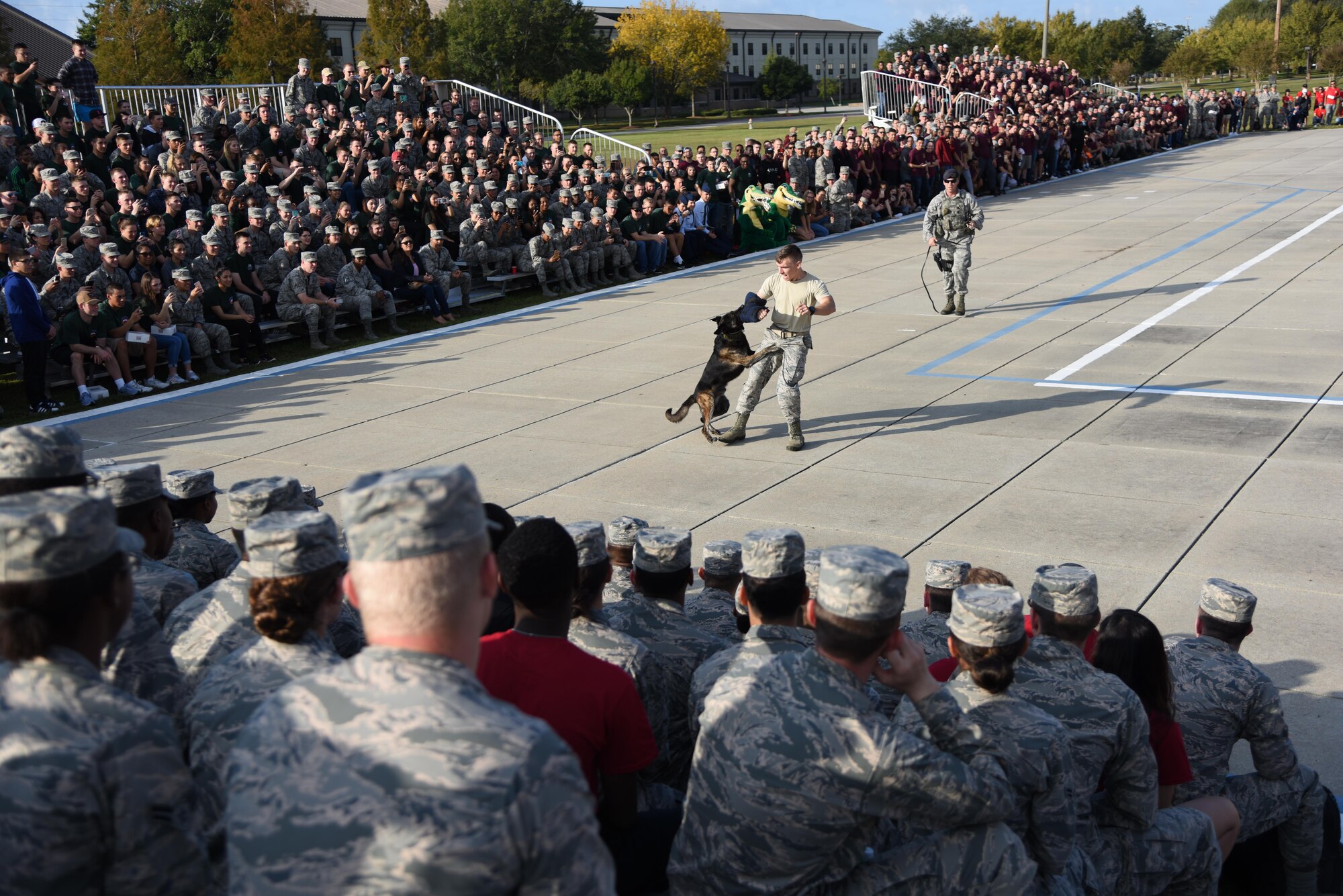 Members of the 81st Security Forces Squadron perform a military working dog demonstration during the 81st Training Group drill down on the Levitow Training Support Facility drill pad Nov. 3, 2017, on Keesler Air Force Base, Mississippi. Airmen from the 81st TRG competed in the final quarterly open ranks inspection, regulation drill routine and freestyle drill routine. The 338th TRS Dark Knights took first place this quarter, while the 334th TRS Gators took first place for the year. (U.S. Air Force photo by Kemberly Groue)