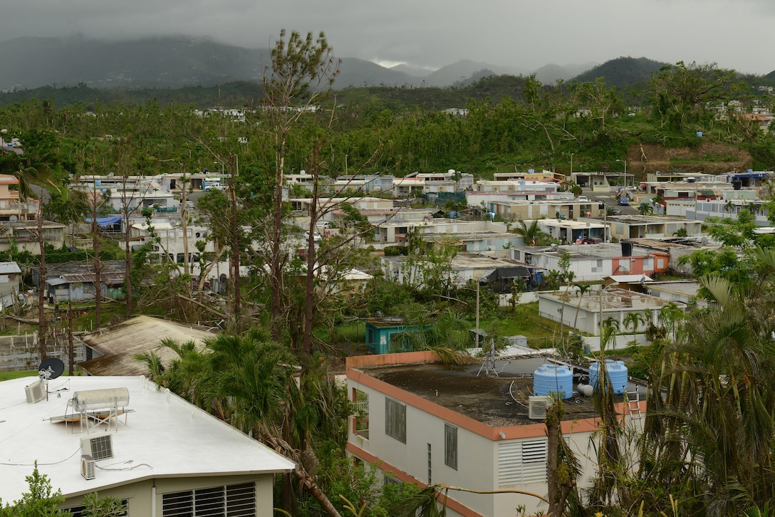 Trees lay broken in the yards of homes in San Lorenzo, Puerto Rico, Nov. 5, 2017, nearly seven weeks after Hurricane Maria devastated the Caribbean Islands.