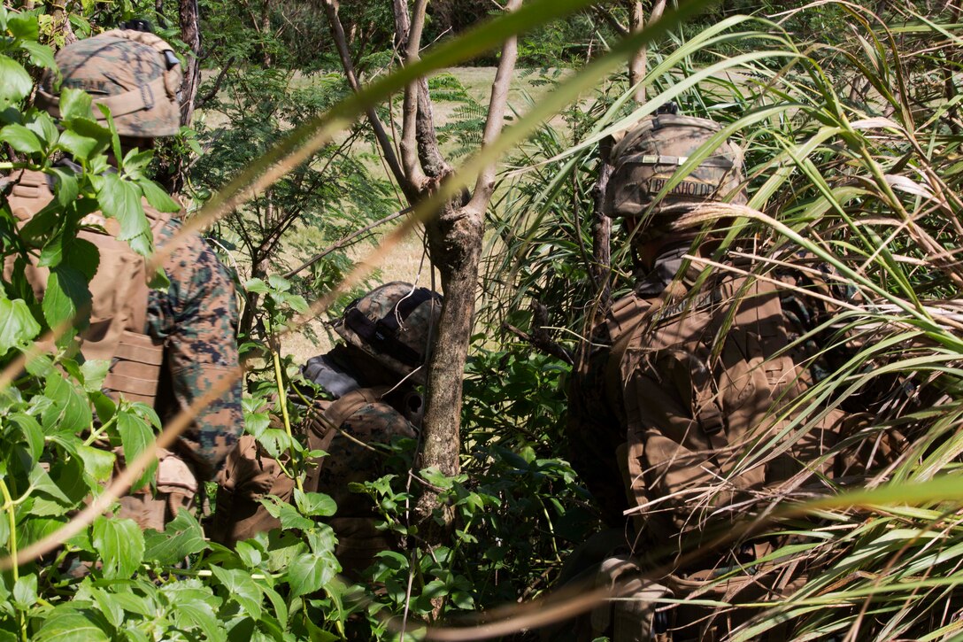Marines maneuver to their next objective after exiting amphibious assault vehicles.