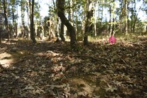 Excavations on military installations like this one help archeologist provide advice to installation leadership on proper methods for maintaining these areas depending on their significance.