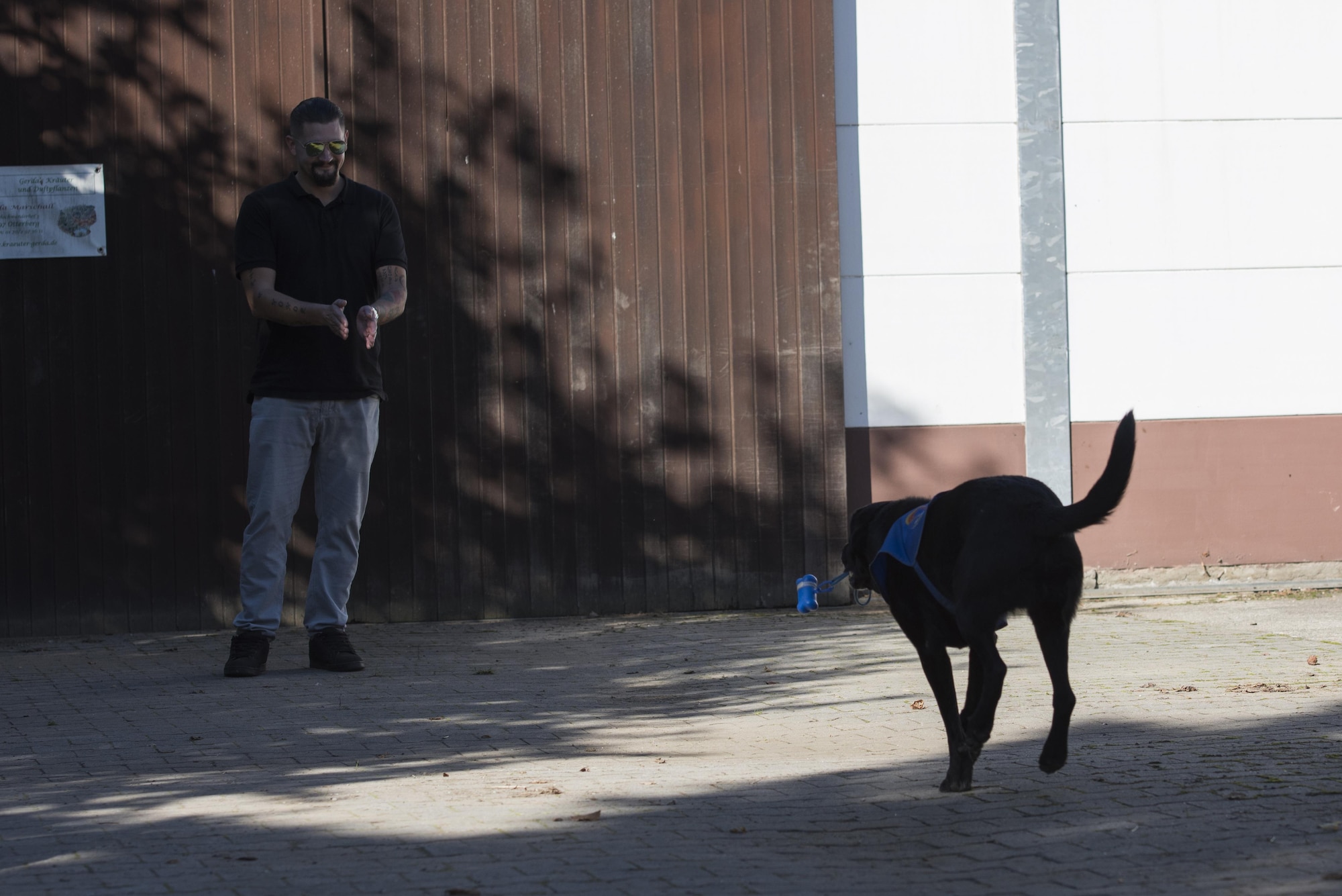 Service dog Pepper runs toward Chris Holland, a U.S. Army veteran and team with Pepper, during a service dog demonstration held in Kaiserslautern, Germany, Oct. 14, 2017. Holland compares his relationship with Pepper to an old married couple, and actively trains with Pepper daily. (U.S. Air Force photo by Airman 1st Class Devin M. Rumbaugh)