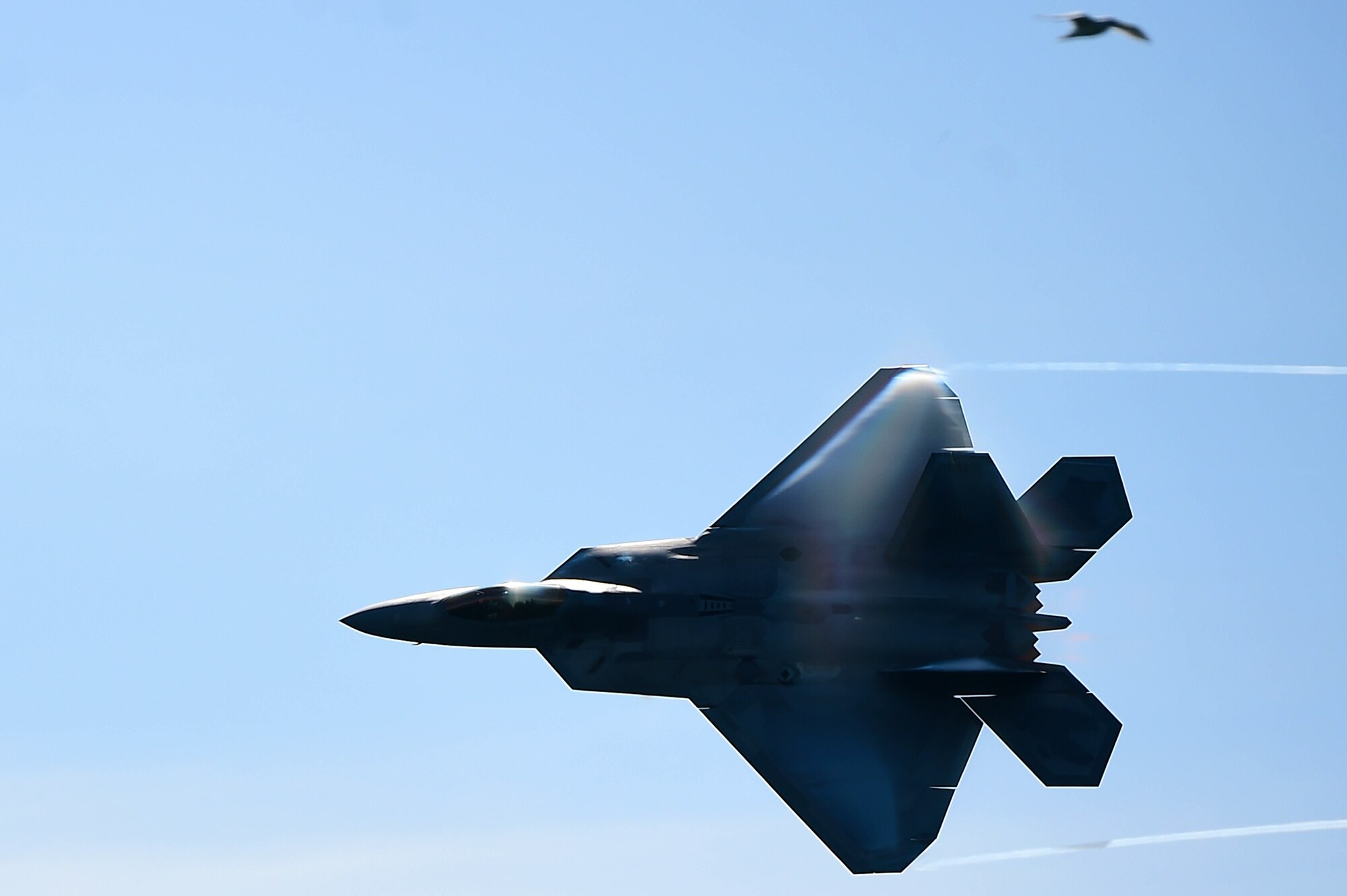 F-22 Raptor airborne