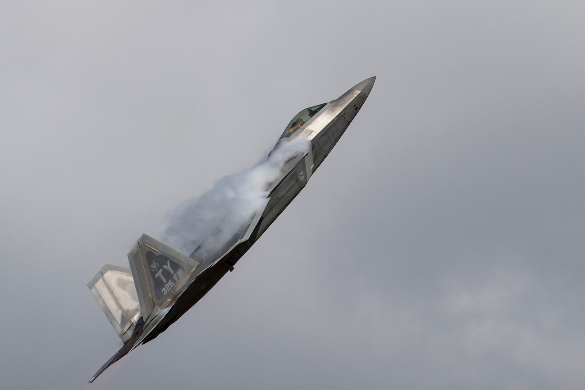 A F-22 Raptor performs a demonstration of capability, Nov. 5, 2017, at Naval Air Station Jacksonville, Fla. The Raptor, Flown by Maj. Daniel Dickinson, F-22 Raptor Demo Team pilot, performed display of capabilities before joining the Heritage Flight Formation. (U.S. Air Force photo by Staff Sgt. Eric Summers Jr.)