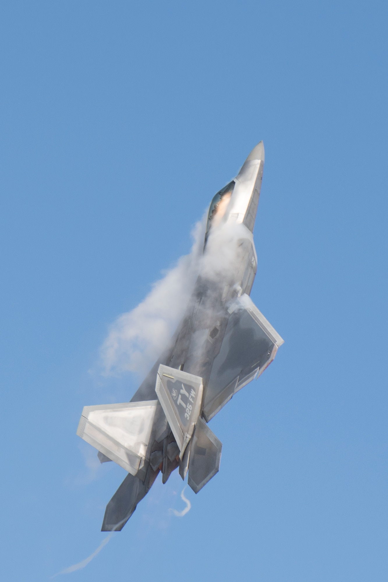 An F-22 Raptor performs vertical flight as part of capability demonstration, Nov. 5, 2017, at Naval Air Station, Fla. Maj. Daniel Dickinson, F-22 Raptor Demo Team pilot, performed a display of capabilities before joining the Heritage Flight Formation. (U.S. Air Force photo by Staff Sgt. Eric Summers Jr.)