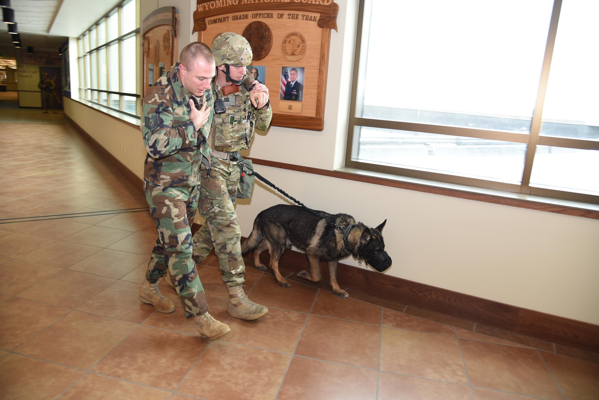 Security Forces walking K-9