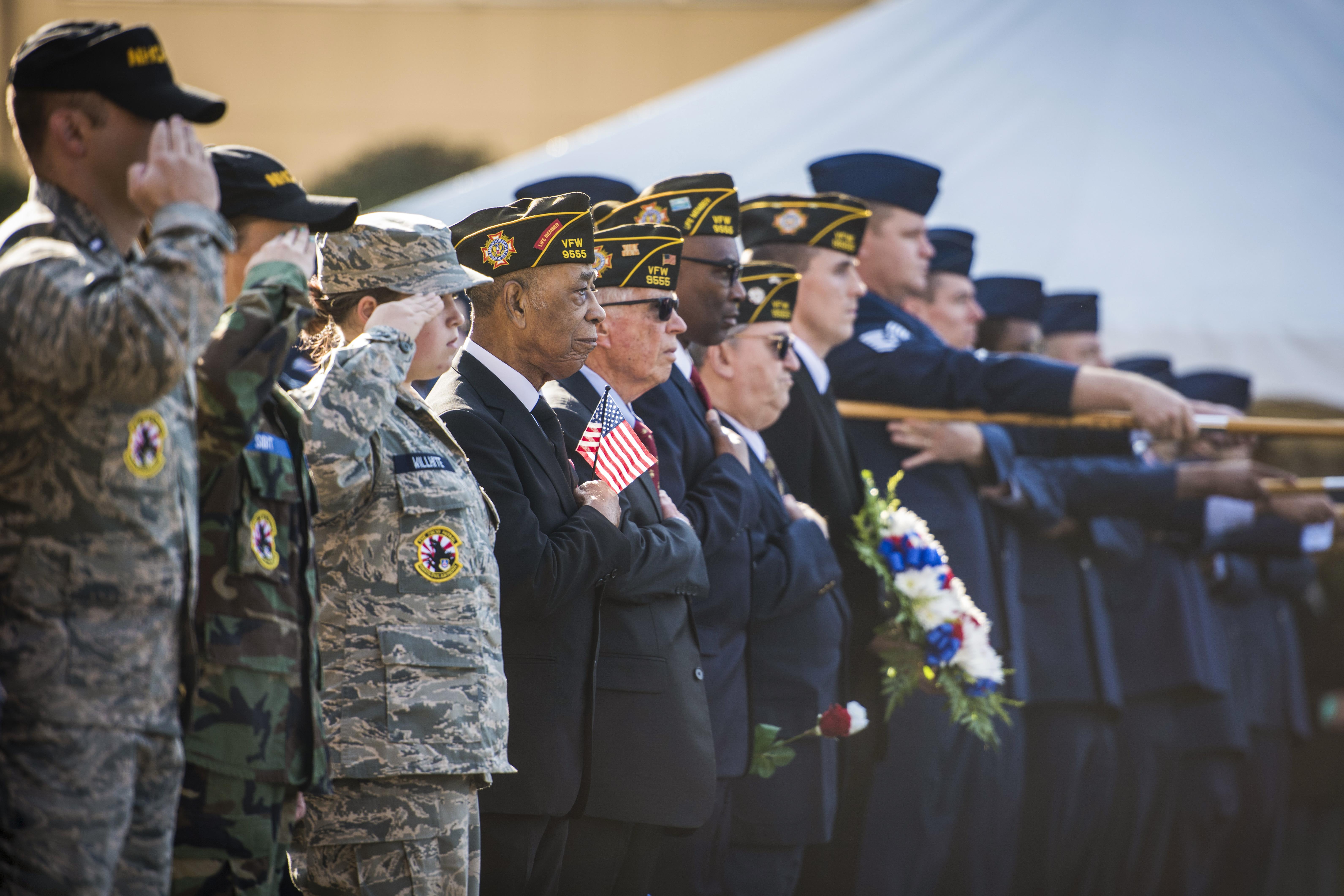 Veterans day national holiday observed