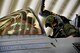 Old Glory: Linking the past and present