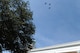 T-38 Talons from Columbus Air Force Base, Mississippi, fly over the Lowndes County Courthouse during a Veterans Day ceremony Nov. 11, 2017, in Columbus, Mississippi. Members of Columbus AFB and the city of Columbus came together to organize a parade and ceremony to honor veterans. (U.S. Air Force photo by Staff Sgt. Christopher Gross)