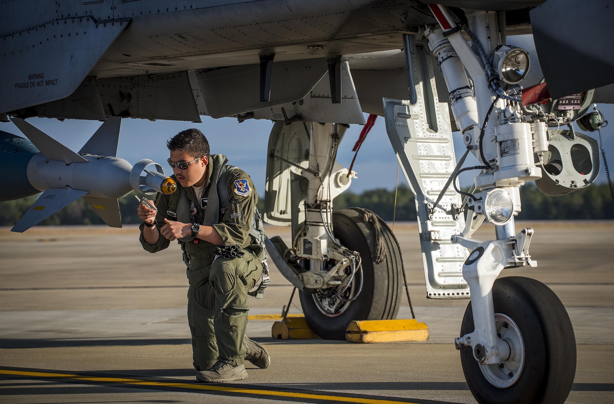 A-10 WSEP Nov 2017