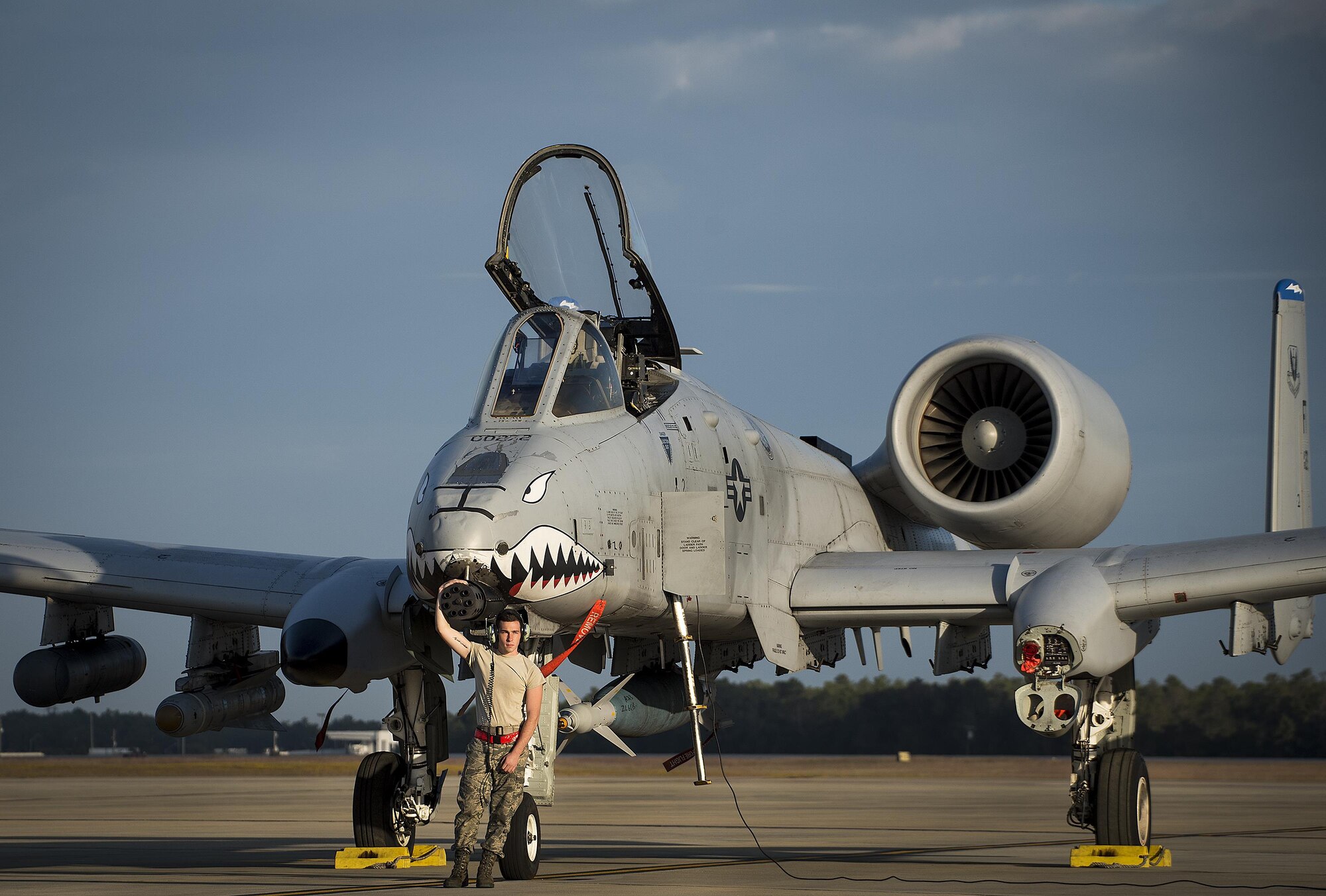 A-10 WSEP Nov 2017