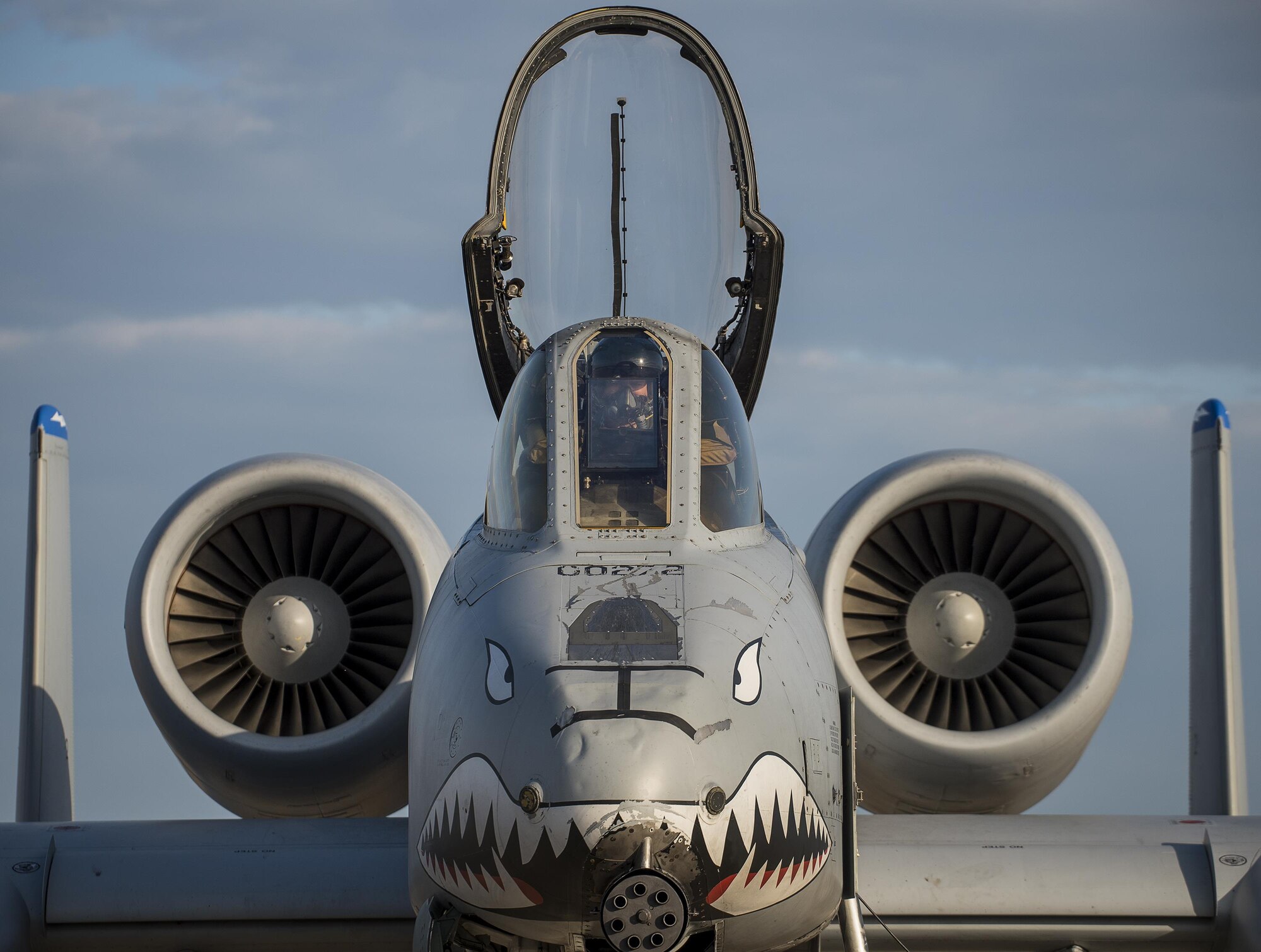 A-10 WSEP Nov 2017