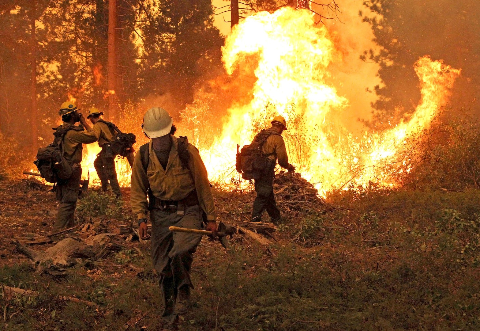 DLA works closely with the U.S. Forest Service, state governments and local fire departments to get firefighters like the Silver State Interagency Hotshot Crew, shown fighting a blaze in the Stanislaus National Forest, California, the equipment they need.