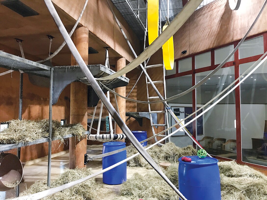 This is a depiction of how the organgutan exhibit was completely overhauled by the Quantico Fire and Rescue donation in the Think Tank building at the National Zoo in Washington, D.C.
